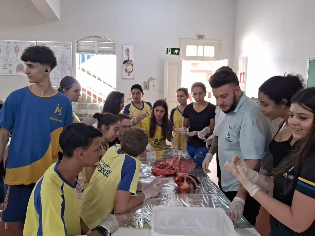 WhatsApp Image 2024-04-04 at 1.57.18 PM (1)