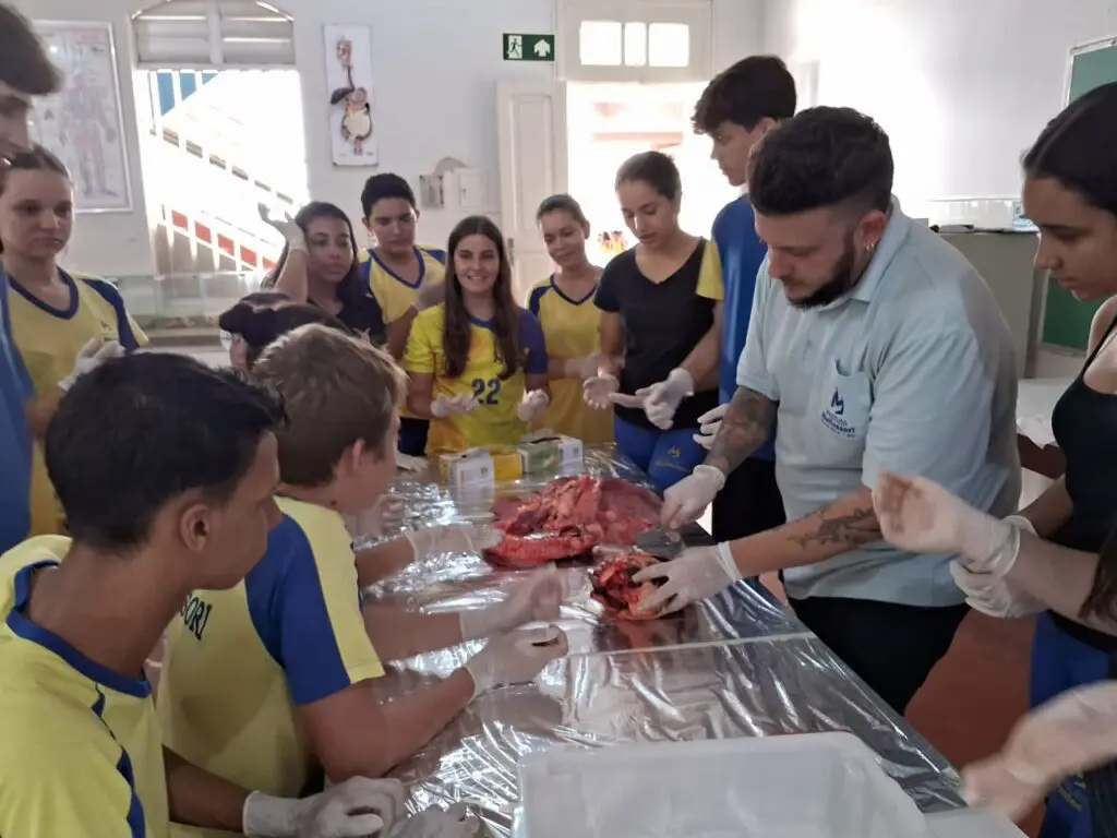 WhatsApp Image 2024-04-04 at 1.57.18 PM