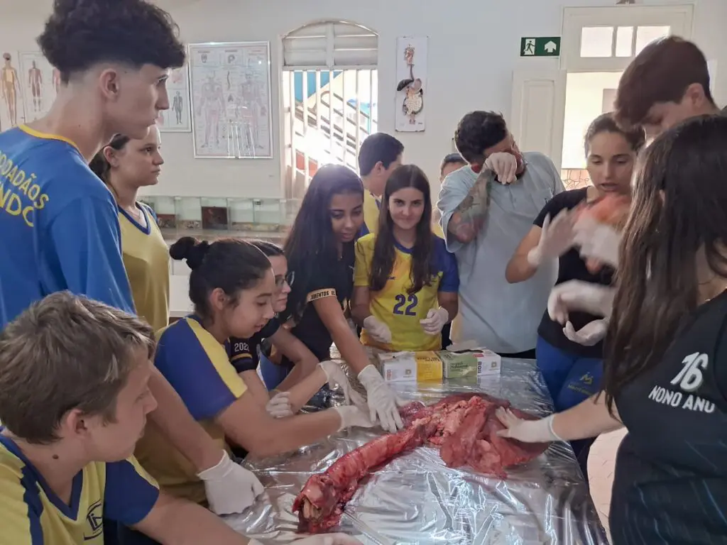 WhatsApp Image 2024-04-04 at 1.57.21 PM (1)