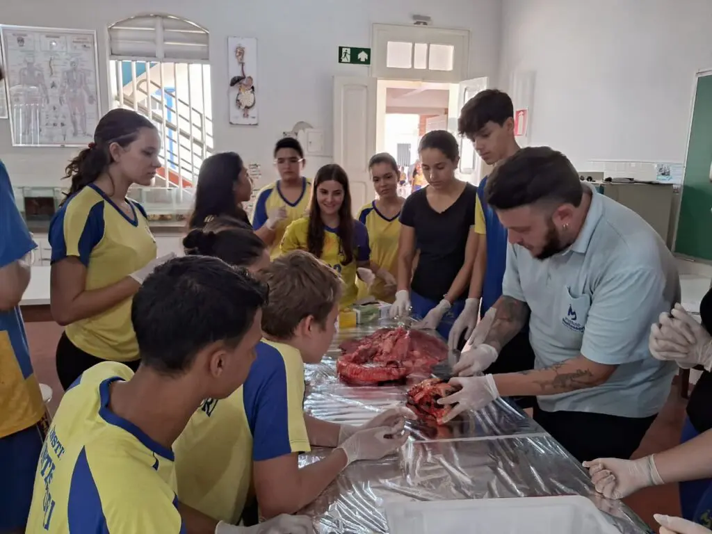 WhatsApp Image 2024-04-04 at 1.57.21 PM