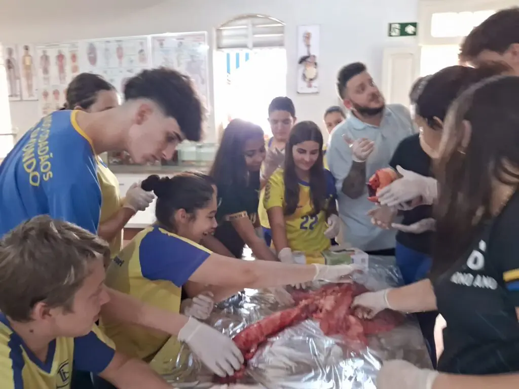 WhatsApp Image 2024-04-04 at 1.57.22 PM