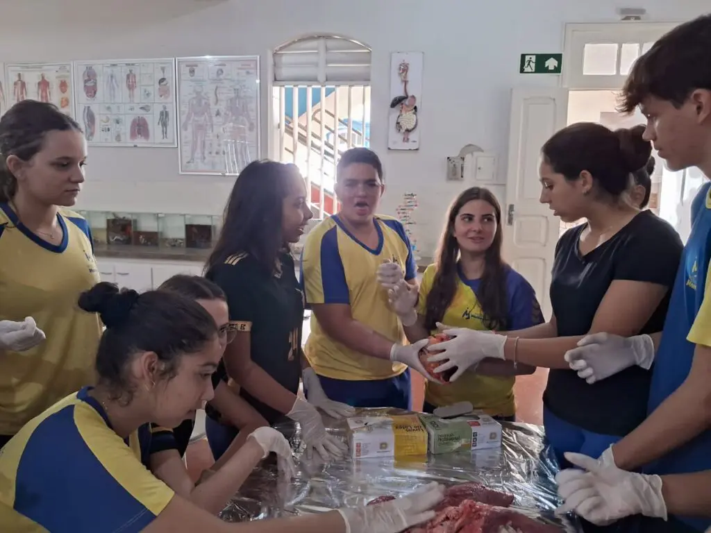 WhatsApp Image 2024-04-04 at 1.57.22 PM (2)