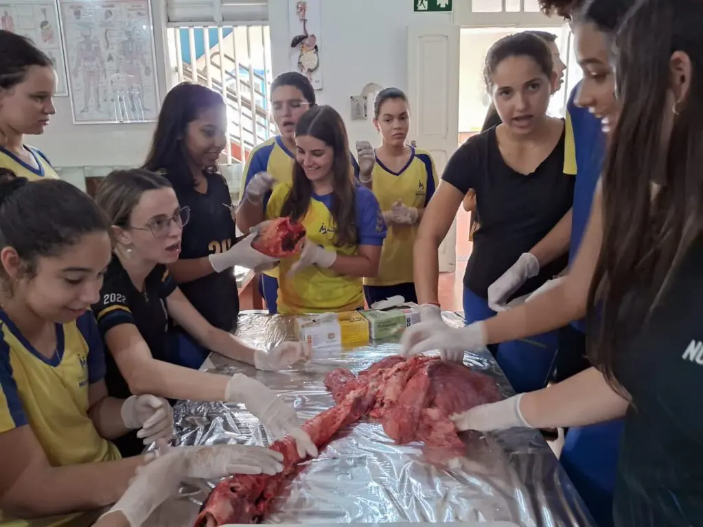 WhatsApp Image 2024-04-04 at 1.57.23 PM (1)