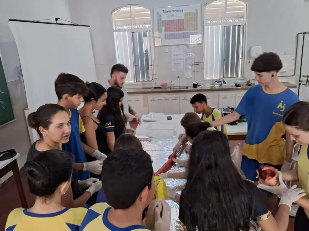 WhatsApp Image 2024-04-04 at 1.57.23 PM