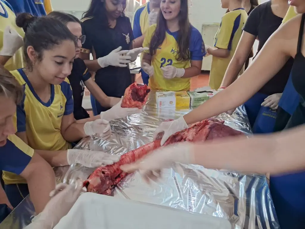 WhatsApp Image 2024-04-04 at 1.57.24 PM (1)