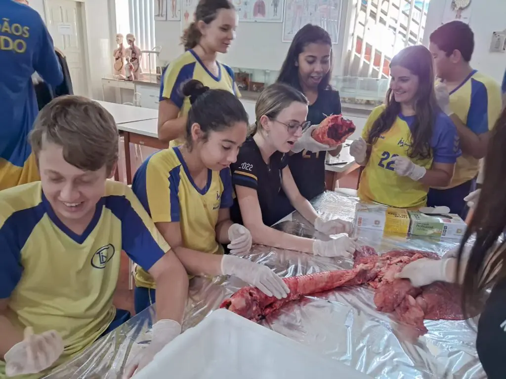 WhatsApp Image 2024-04-04 at 1.57.24 PM