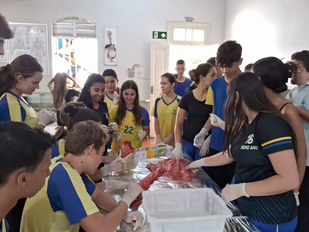 WhatsApp Image 2024-04-04 at 1.57.24 PM (2)