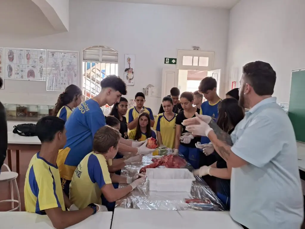 WhatsApp Image 2024-04-04 at 1.57.25 PM (1)