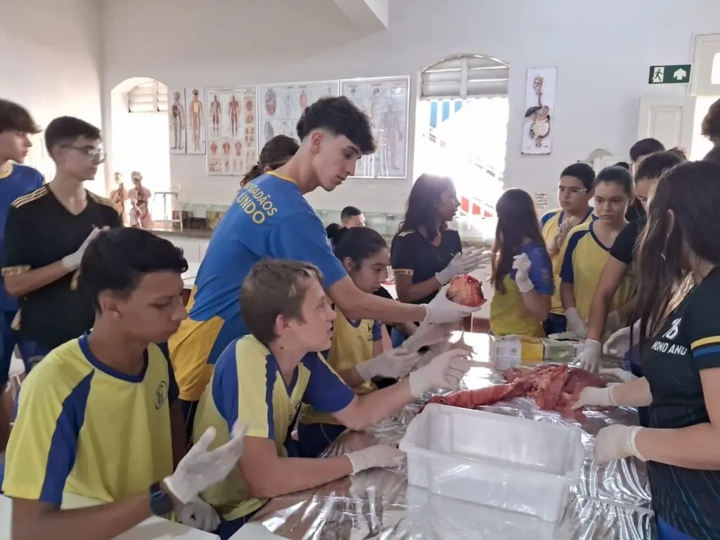 WhatsApp Image 2024-04-04 at 1.57.25 PM