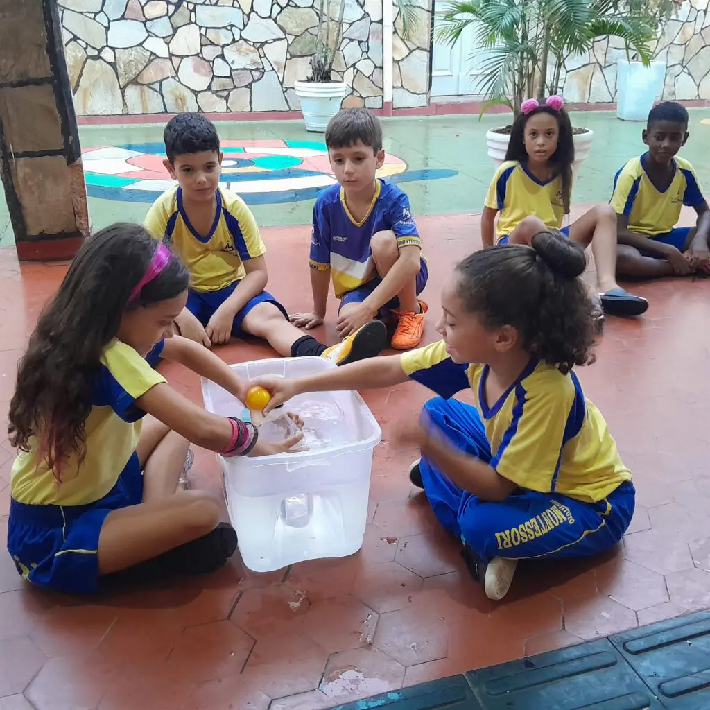 WhatsApp Image 2024-03-27 at 08.17.39