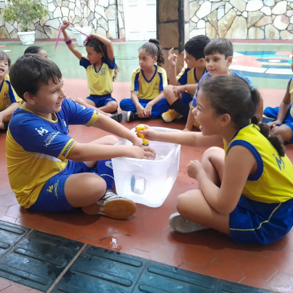 WhatsApp Image 2024-03-27 at 08.17.52