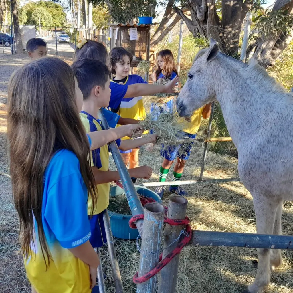 WhatsApp Image 2024-06-20 at 18.57.54 (1)