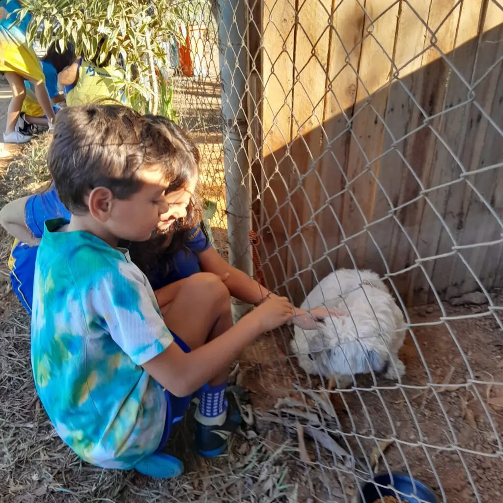 WhatsApp Image 2024-06-20 at 18.58.05