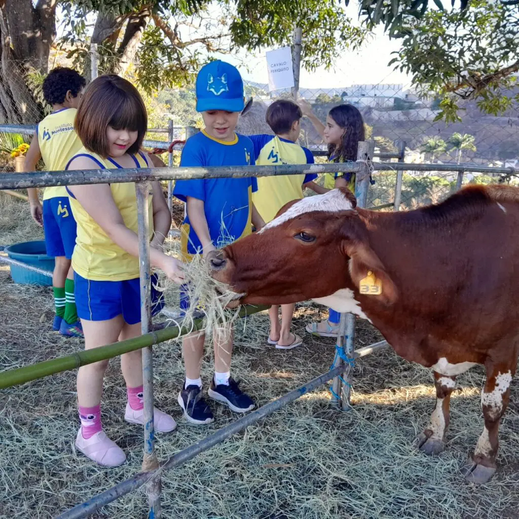 WhatsApp Image 2024-06-20 at 18.58.05 (3)