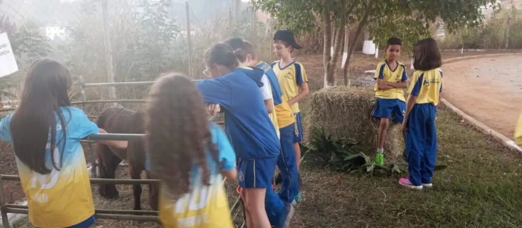 WhatsApp Image 2024-06-21 at 15.55.33