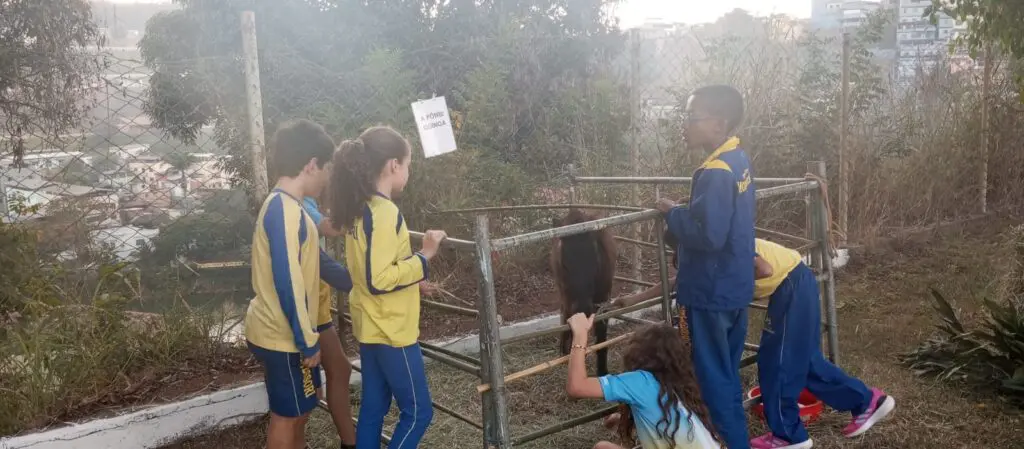 WhatsApp Image 2024-06-21 at 15.55.35 (2)