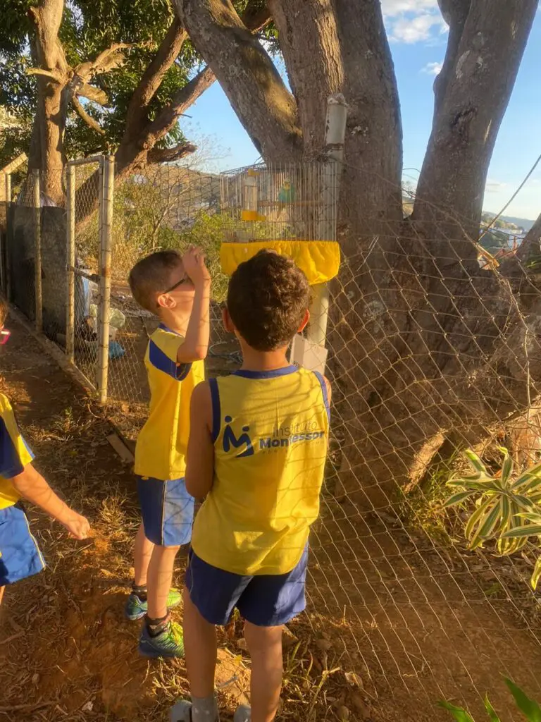 WhatsApp Image 2024-06-24 at 10.17.15