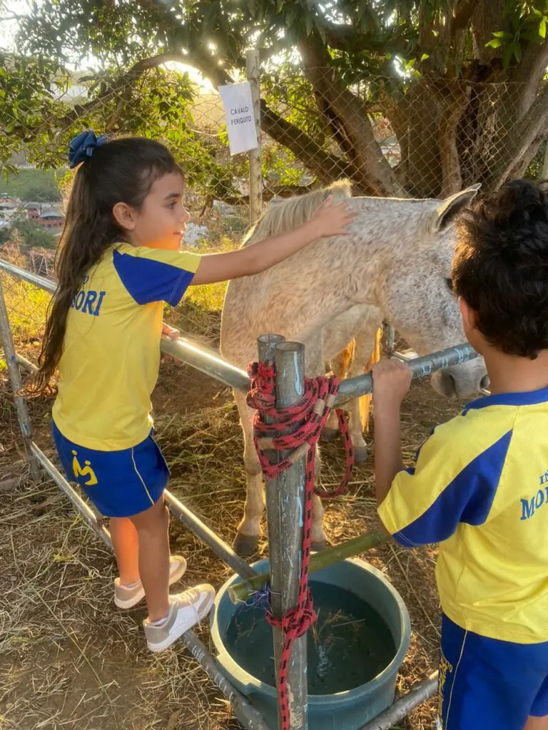 WhatsApp Image 2024-06-24 at 10.17.16 (2)