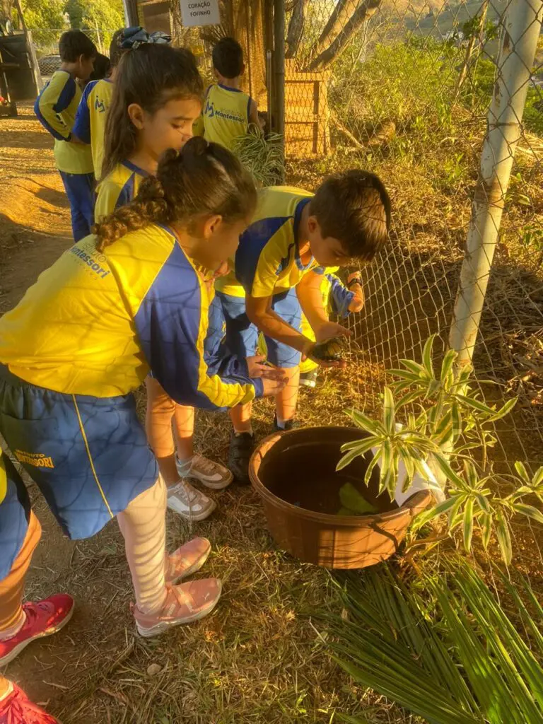 WhatsApp Image 2024-06-24 at 10.17.18