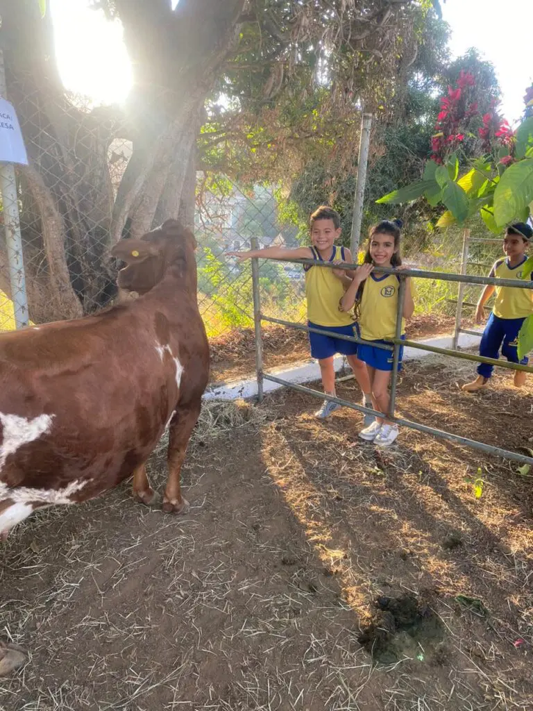 WhatsApp Image 2024-06-24 at 10.17.43 (1)