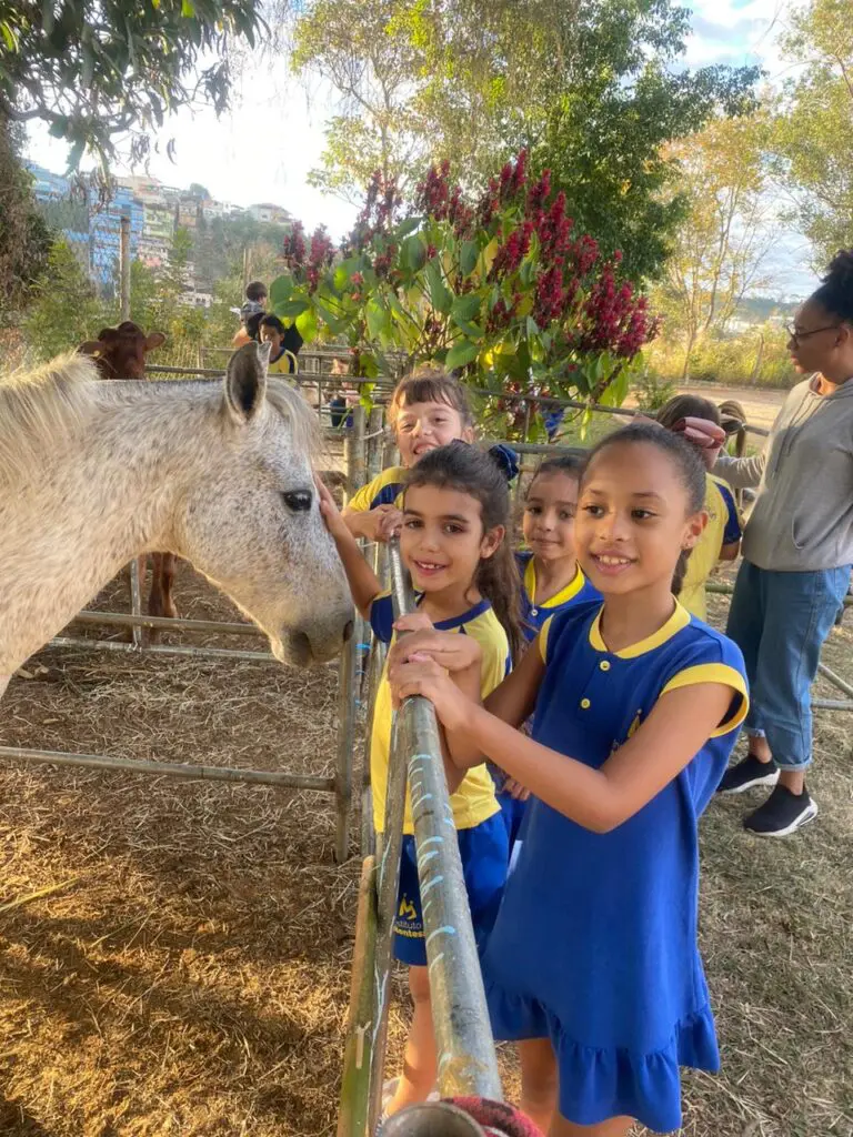 WhatsApp Image 2024-06-24 at 10.17.45