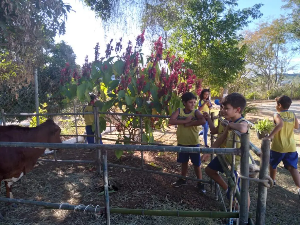 WhatsApp Image 2024-06-24 at 11.19.37