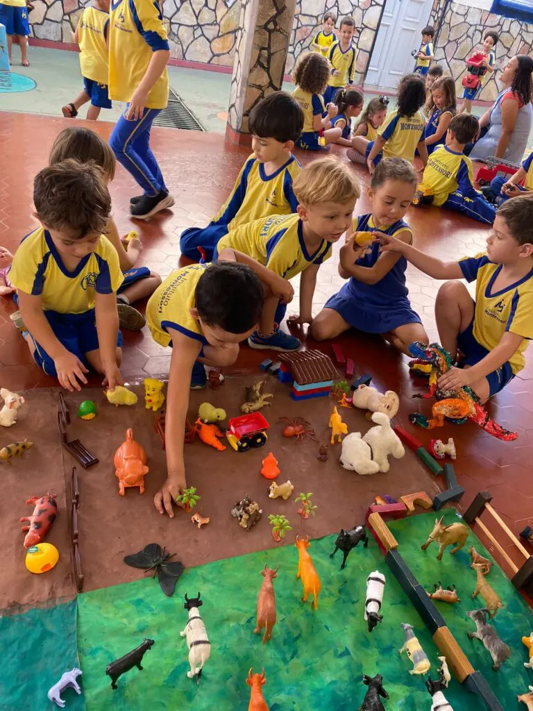 WhatsApp Image 2024-07-12 at 16.23.16 (1)