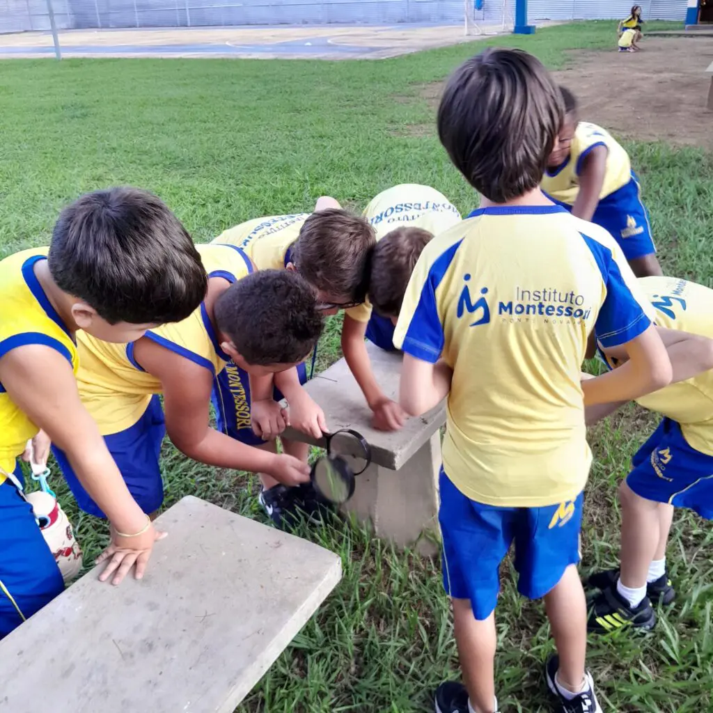 WhatsApp Image 2025-02-13 at 23.02.44