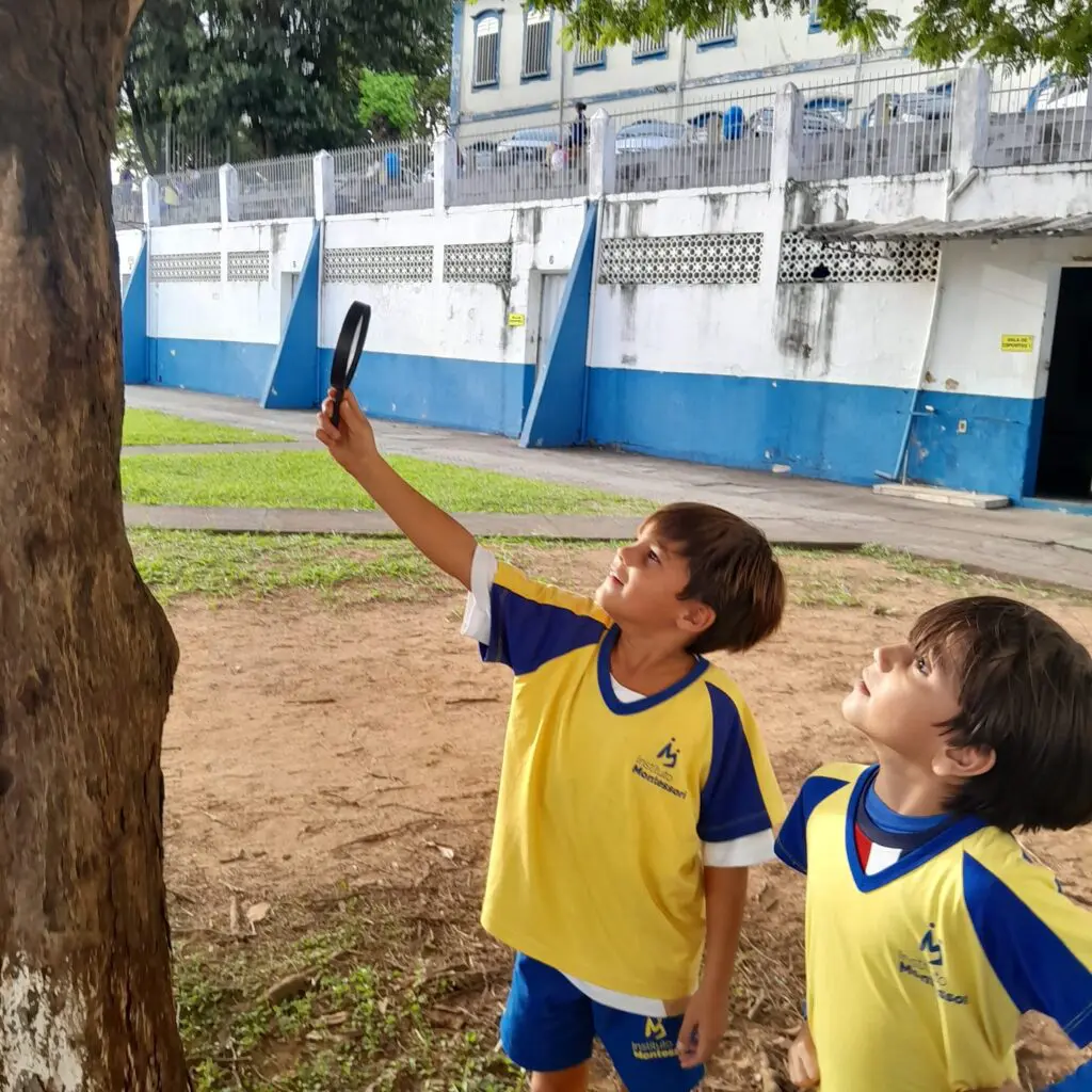 WhatsApp Image 2025-02-13 at 23.02.52