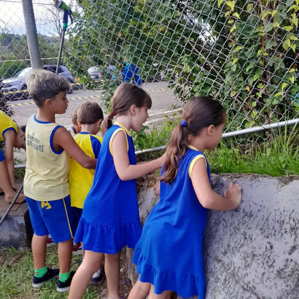 WhatsApp Image 2025-02-13 at 23.03.00