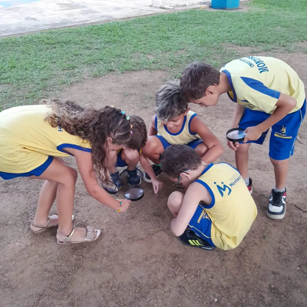 WhatsApp Image 2025-02-13 at 23.03.08