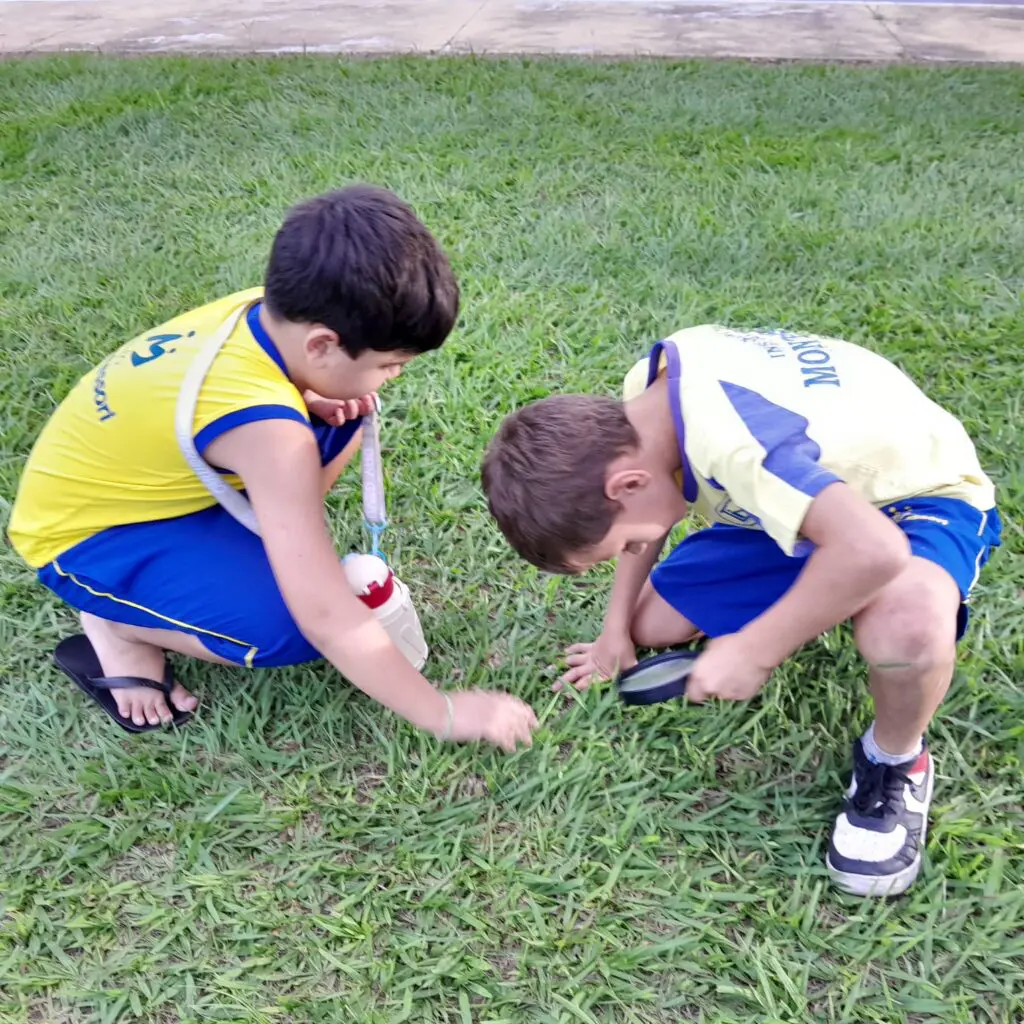 WhatsApp Image 2025-02-13 at 23.03.13