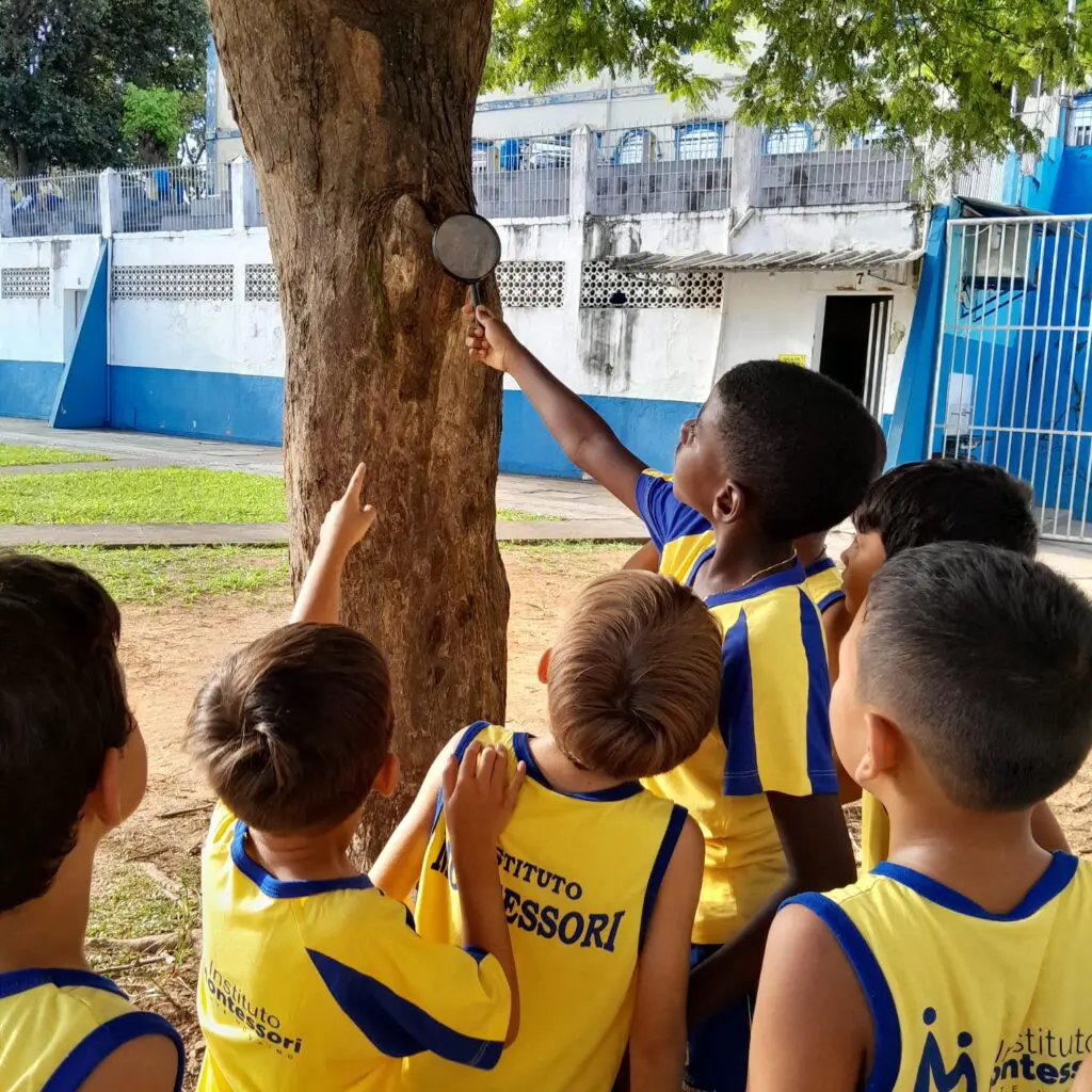 WhatsApp Image 2025-02-13 at 23.03.22