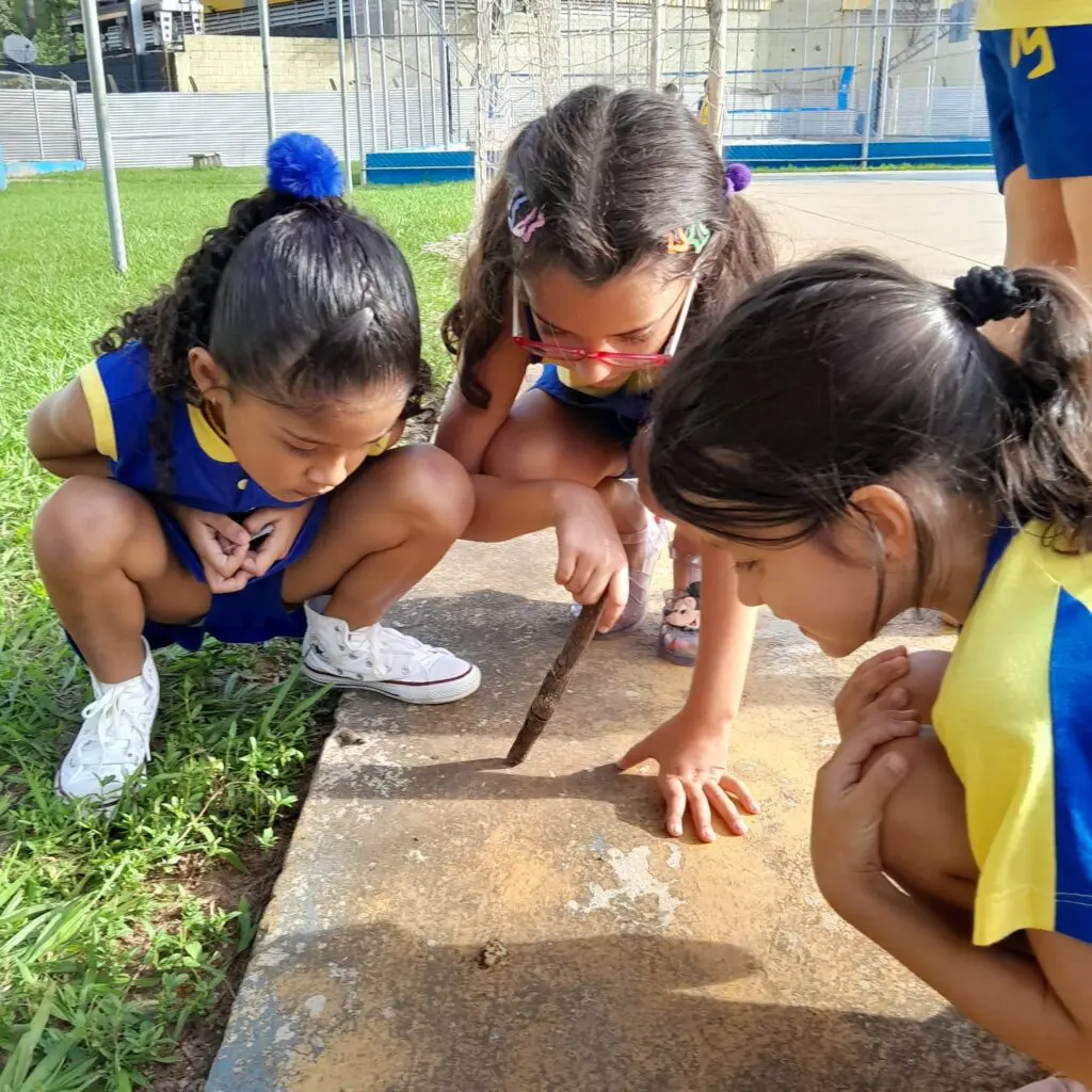 WhatsApp Image 2025-02-13 at 23.03.27