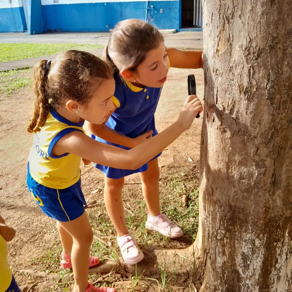 WhatsApp Image 2025-02-13 at 23.03.34