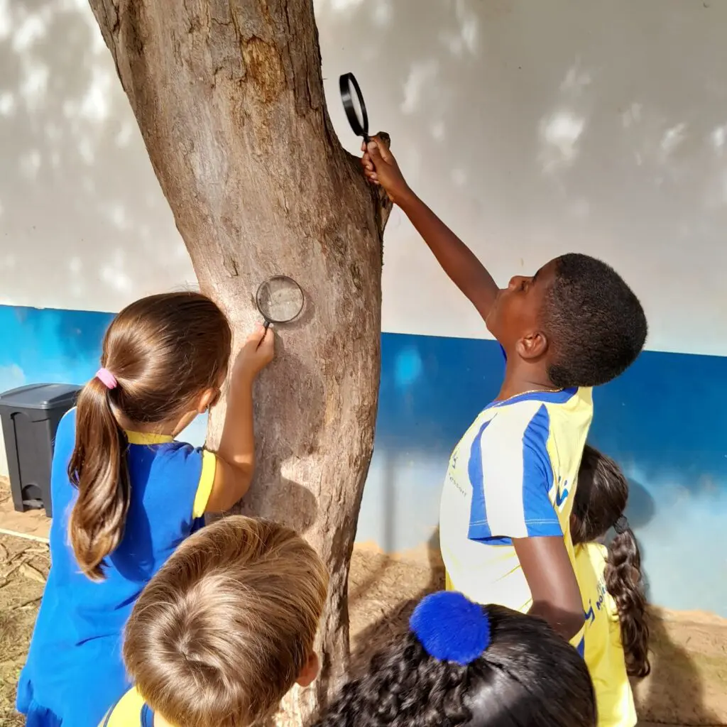 WhatsApp Image 2025-02-13 at 23.03.38