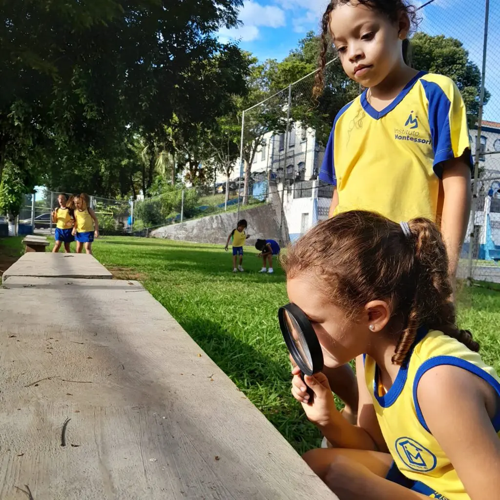 WhatsApp Image 2025-02-13 at 23.03.54