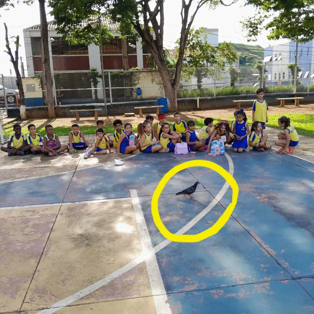 WhatsApp Image 2025-02-13 at 23.04.10