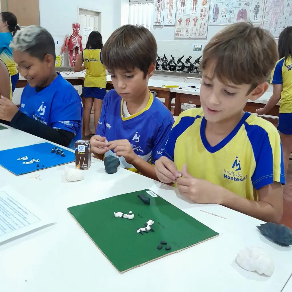 WhatsApp Image 2025-02-16 at 08.59.20