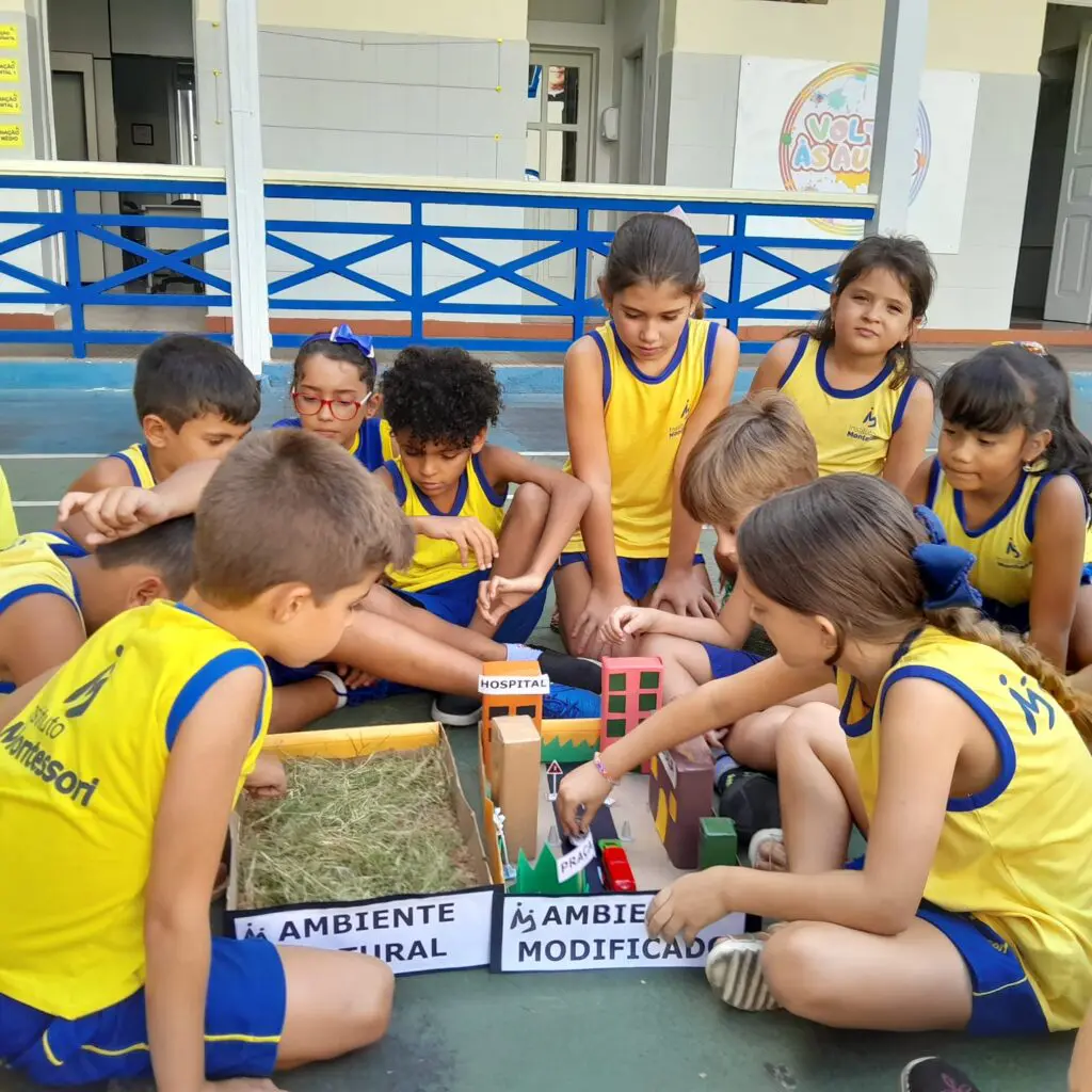 WhatsApp Image 2025-02-24 at 19.57.05