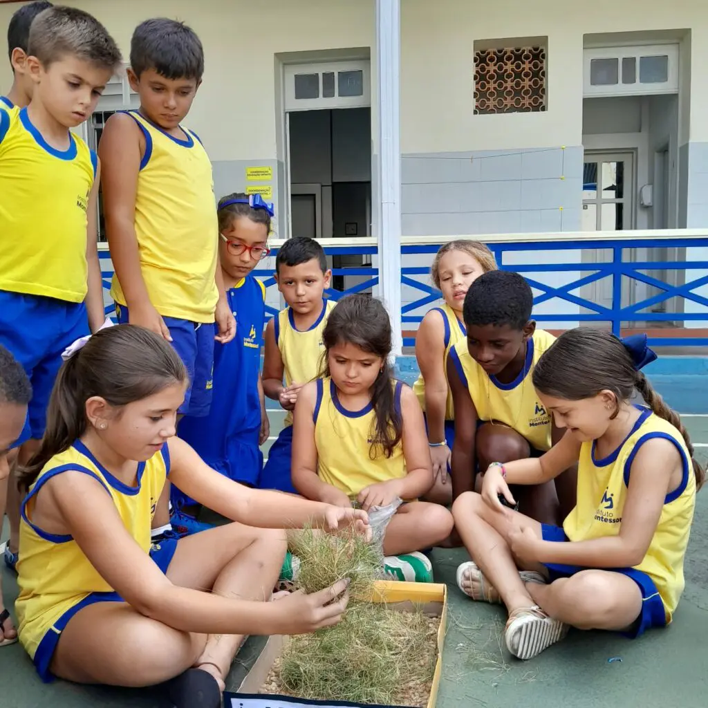 WhatsApp Image 2025-02-24 at 19.57.15