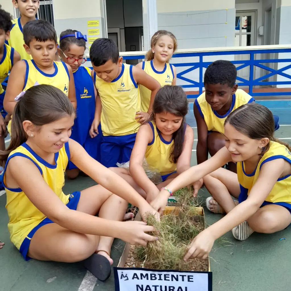 WhatsApp Image 2025-02-24 at 19.57.21 (1)