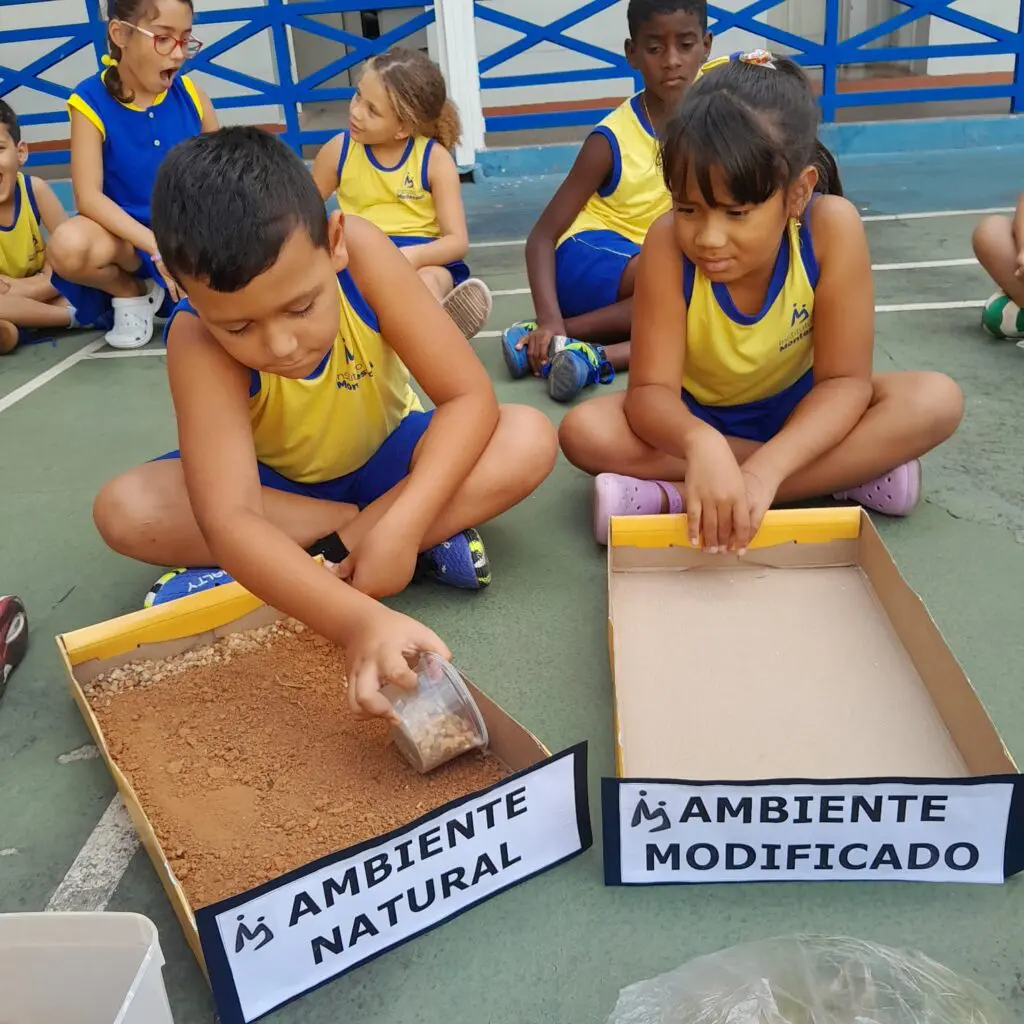 WhatsApp Image 2025-02-24 at 19.57.23