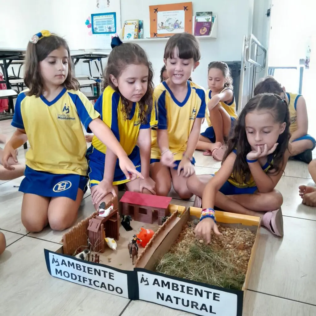 WhatsApp Image 2025-02-24 at 19.57.34