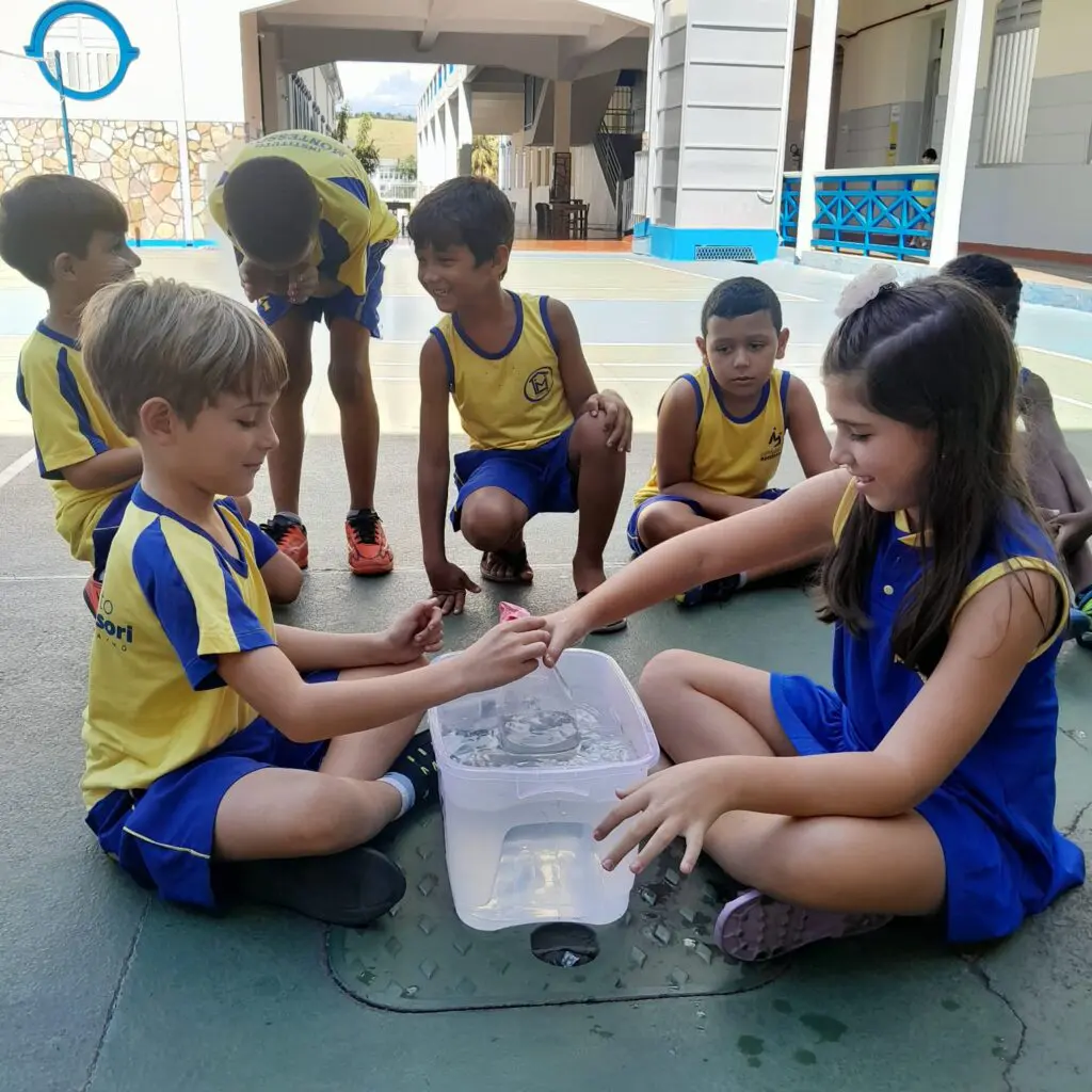 WhatsApp Image 2025-03-07 at 10.22.14