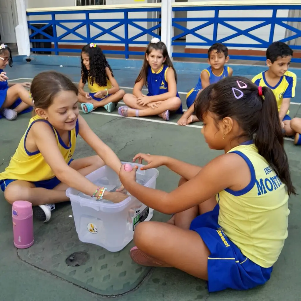 WhatsApp Image 2025-03-07 at 10.22.25