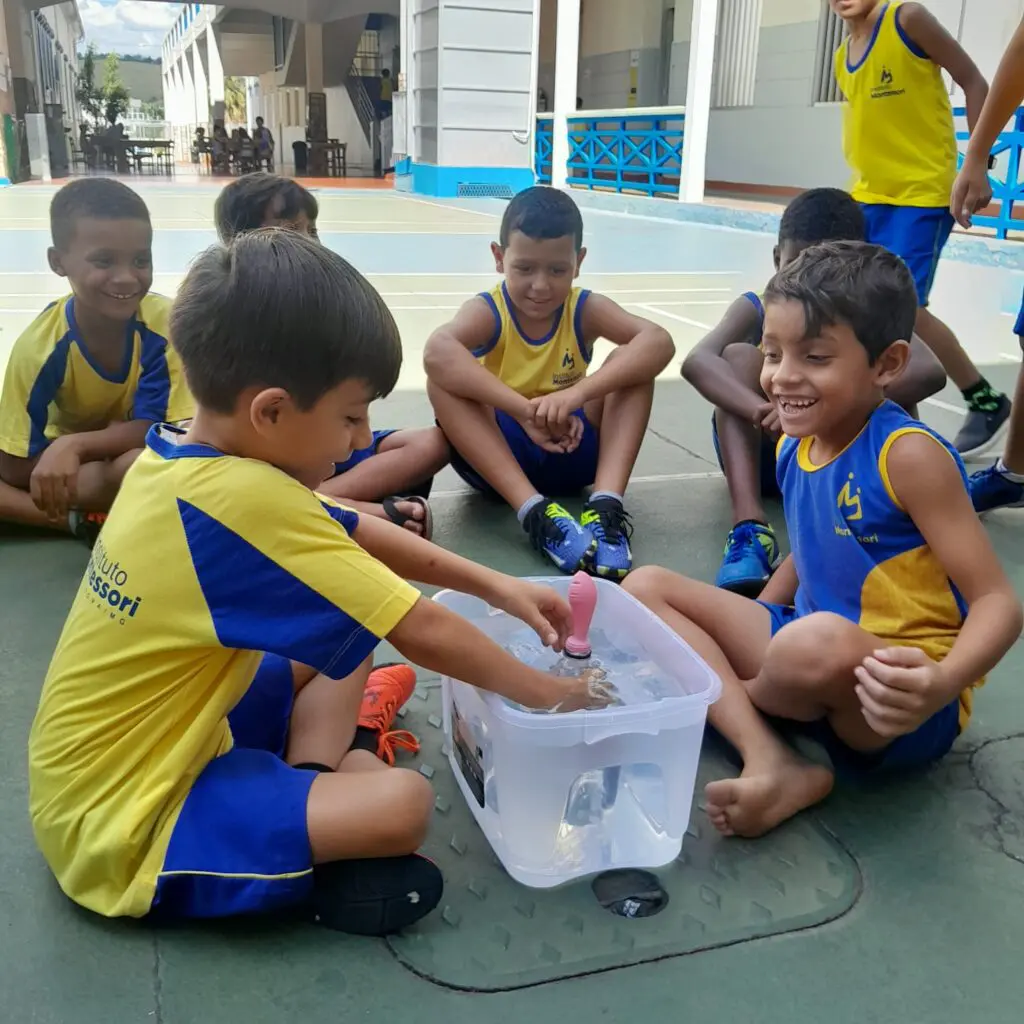 WhatsApp Image 2025-03-07 at 10.23.08