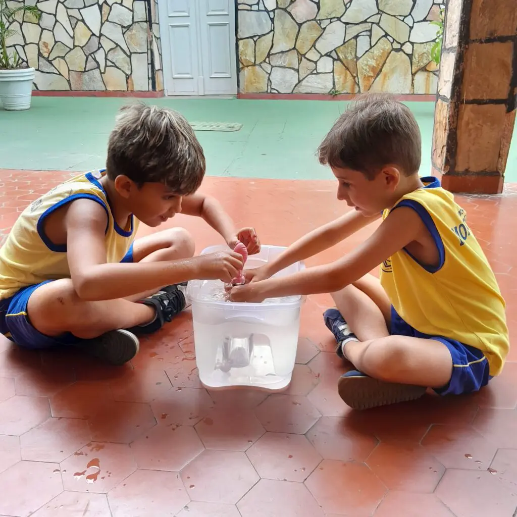 WhatsApp Image 2025-03-07 at 20.33.23