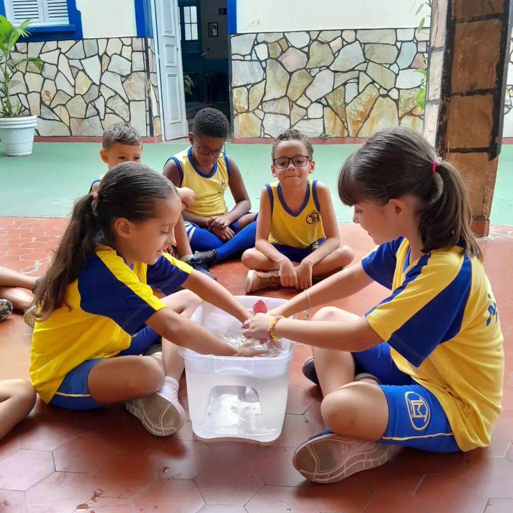 WhatsApp Image 2025-03-07 at 20.33.38