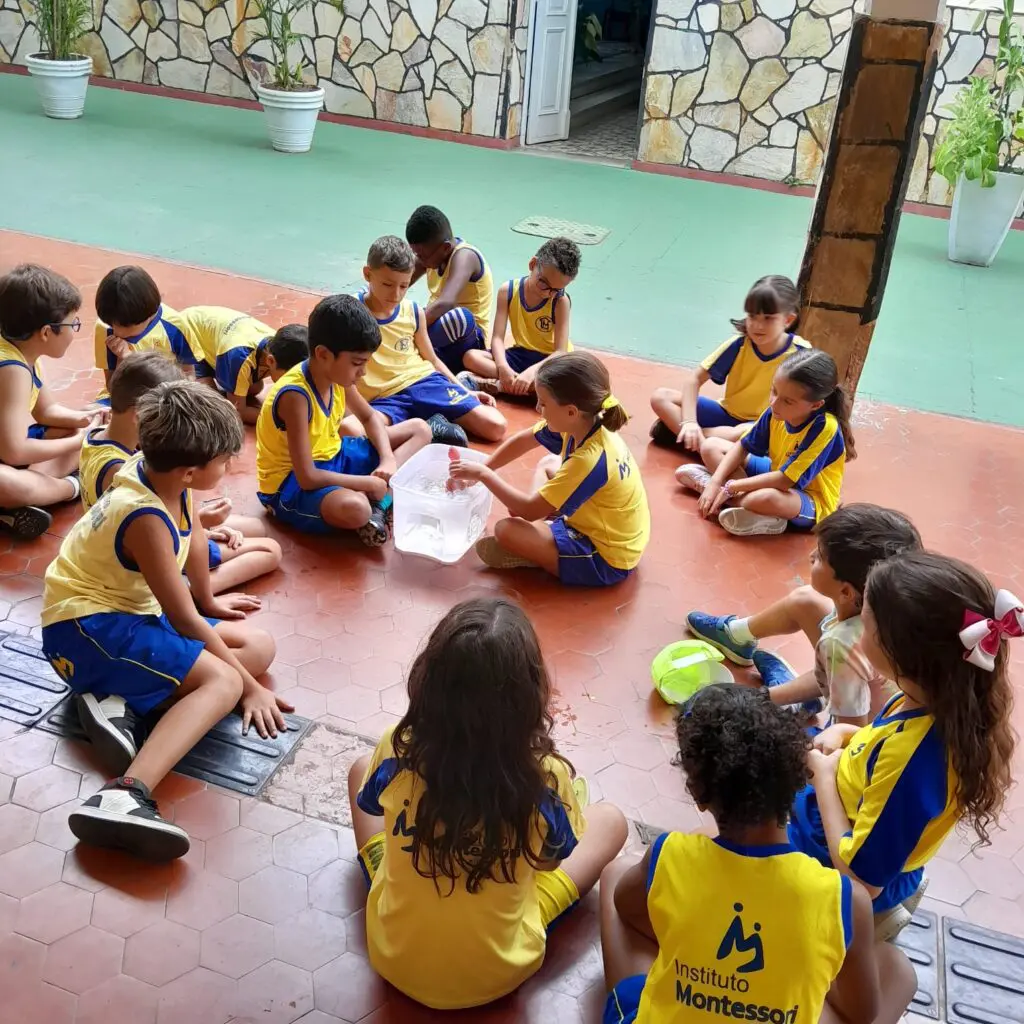 WhatsApp Image 2025-03-07 at 20.33.43 (1)